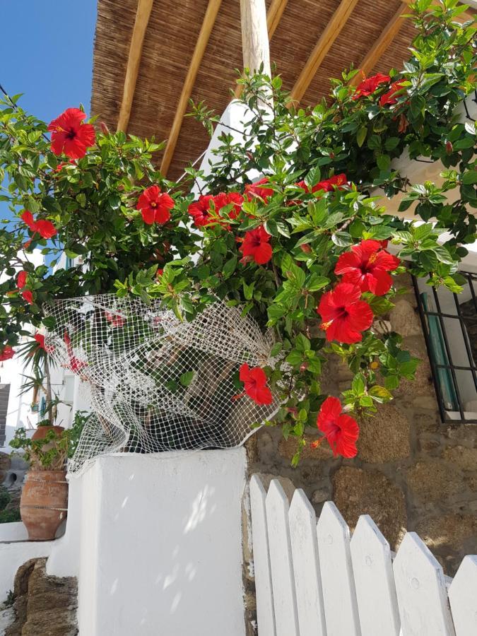 הוילה Mykonos Town Hibiscus Rosa Mykonos מראה חיצוני תמונה